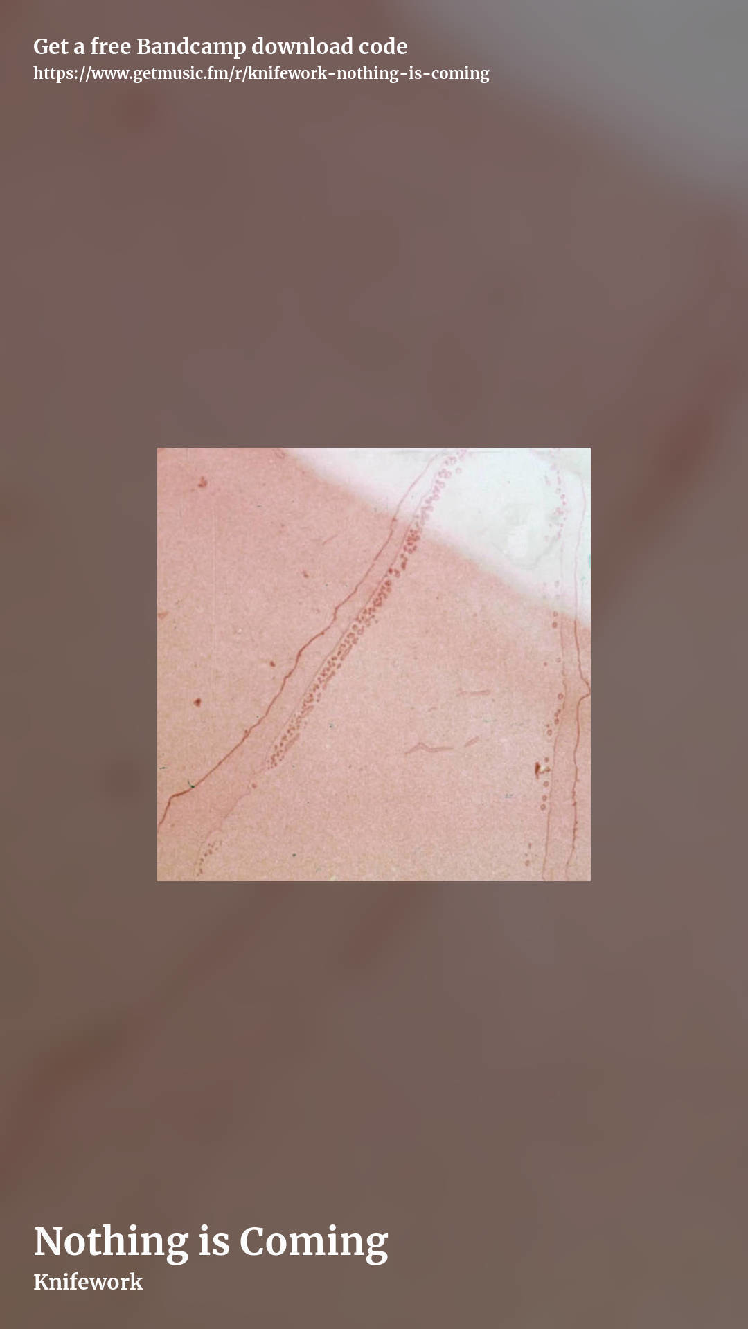 Nothing is Coming by Knifework, story promo share image