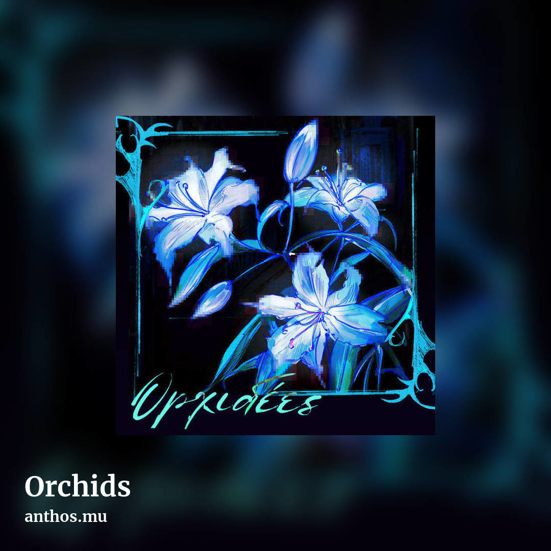 Orchids by anthos.mu, square clean share image