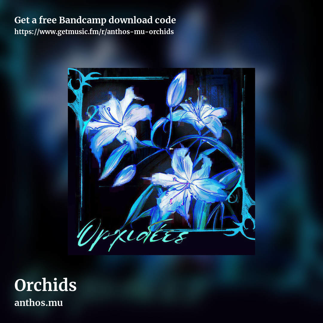 Orchids by anthos.mu, square promo share image