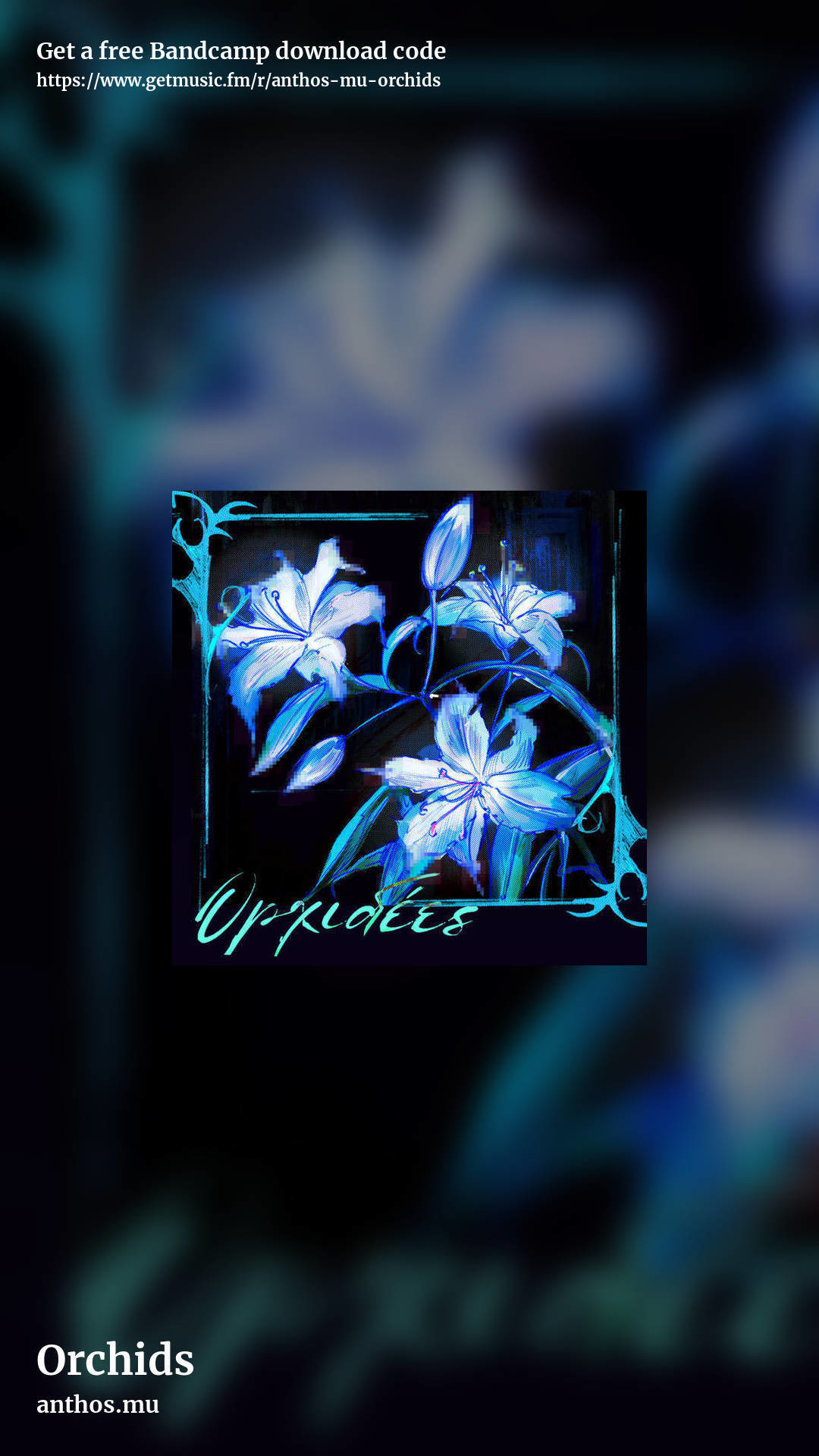 Orchids by anthos.mu, story promo share image