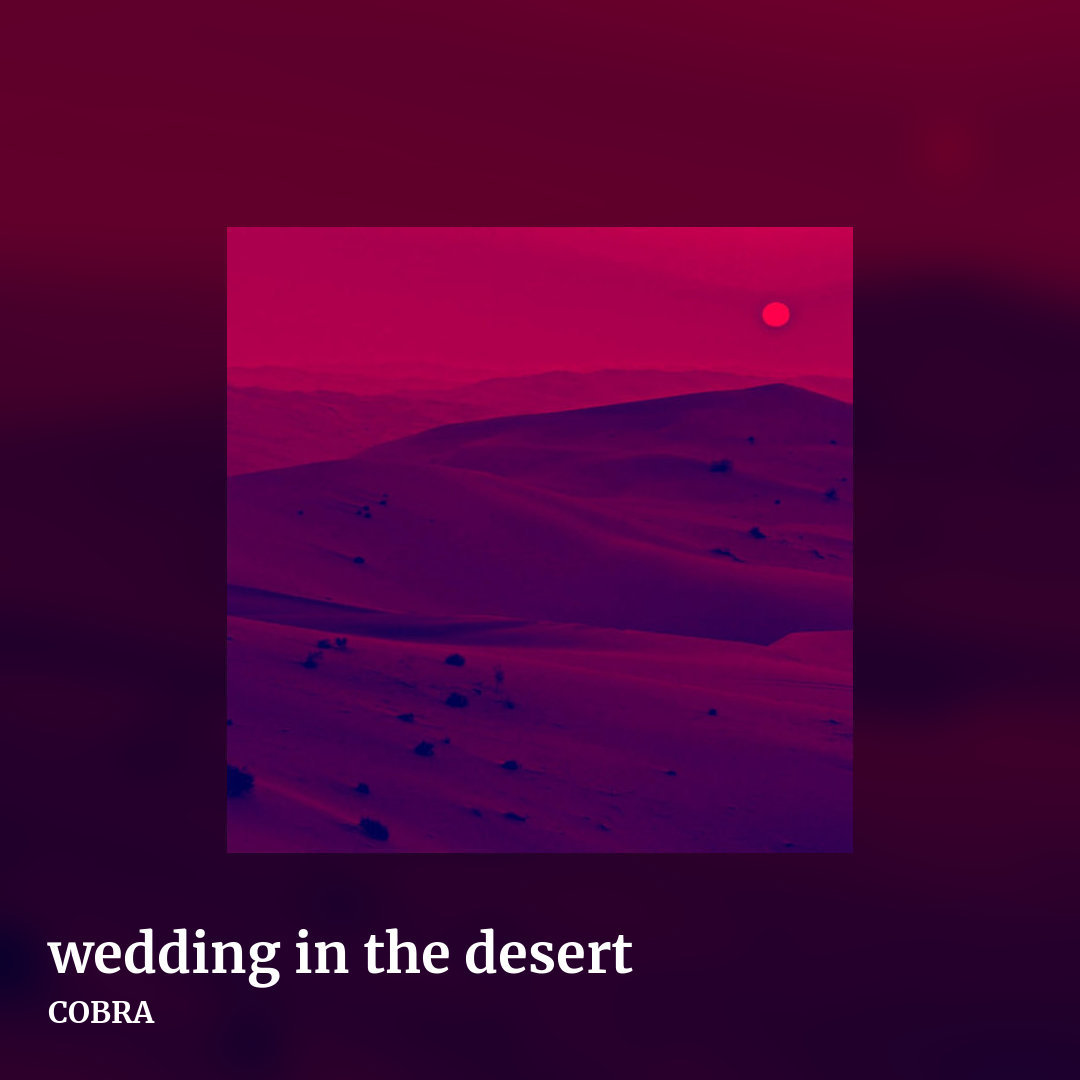 wedding in the desert by COBRA, square clean share image
