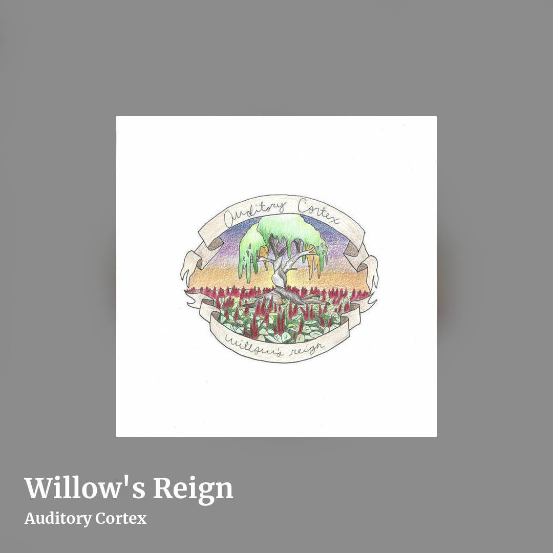 Willow's Reign by Auditory Cortex, square clean share image