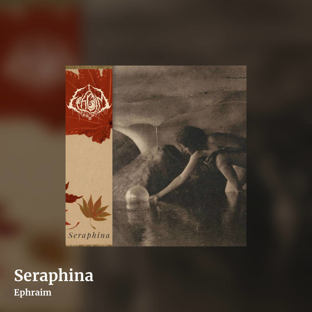 Seraphina by Ephraim, square clean share image