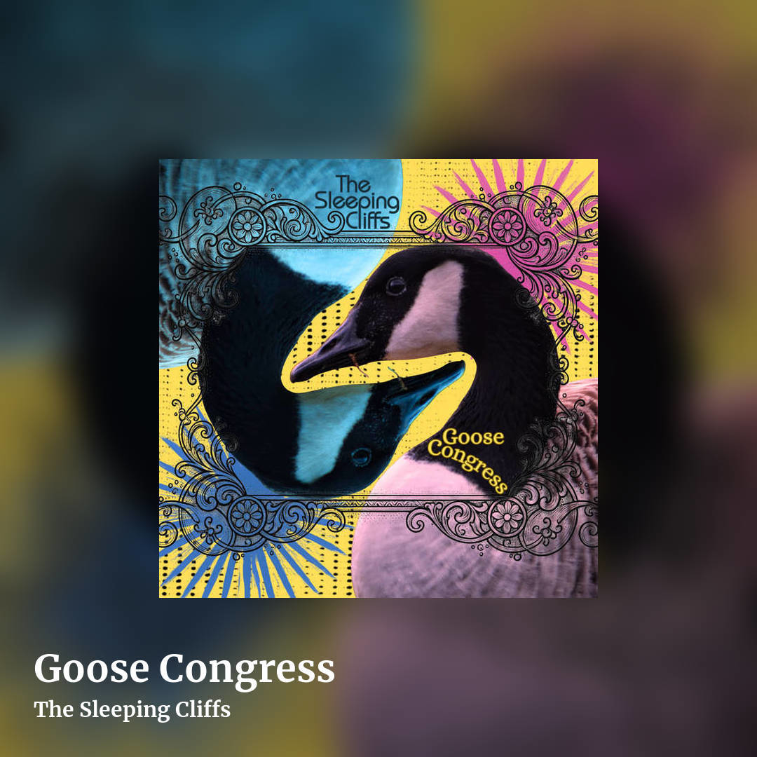 Goose Congress by The Sleeping Cliffs, square clean share image