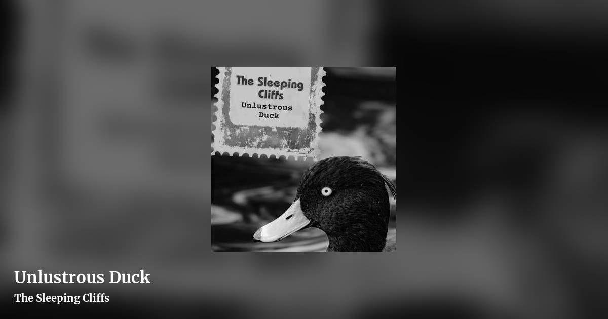 Unlustrous Duck by The Sleeping Cliffs, landscape clean share image