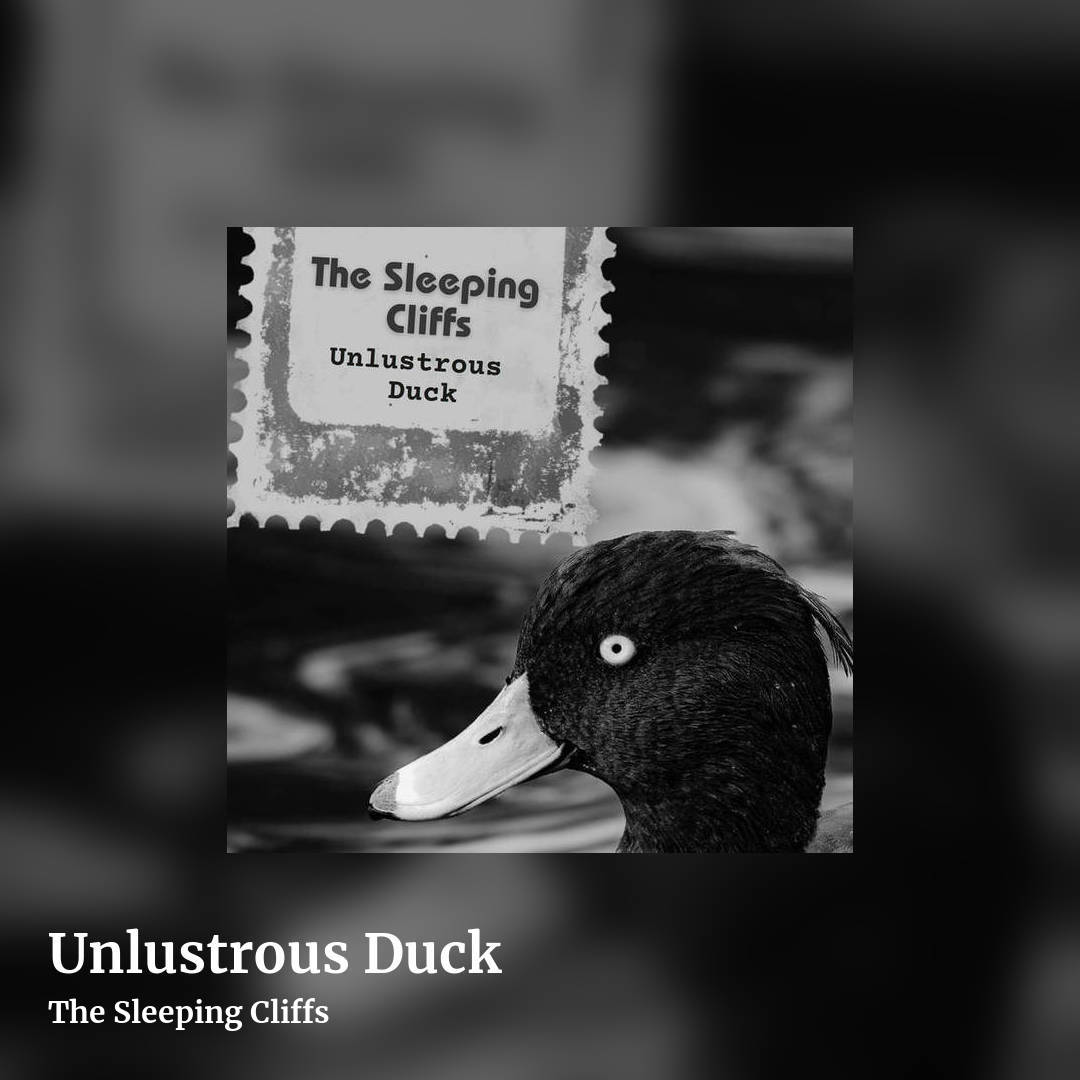 Unlustrous Duck by The Sleeping Cliffs, square clean share image