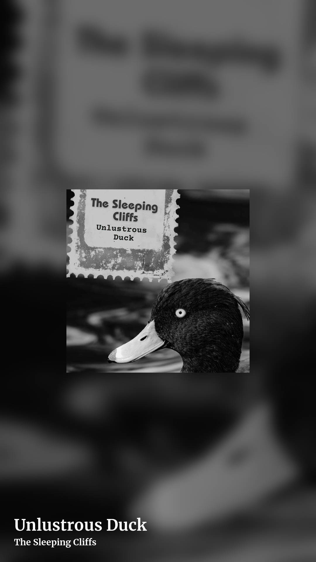 Unlustrous Duck by The Sleeping Cliffs, story clean share image