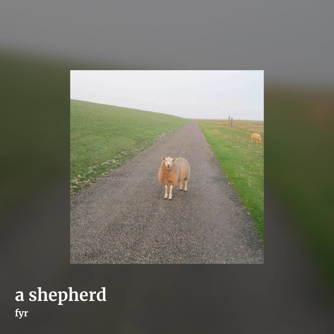 a shepherd by fyr, square clean share image
