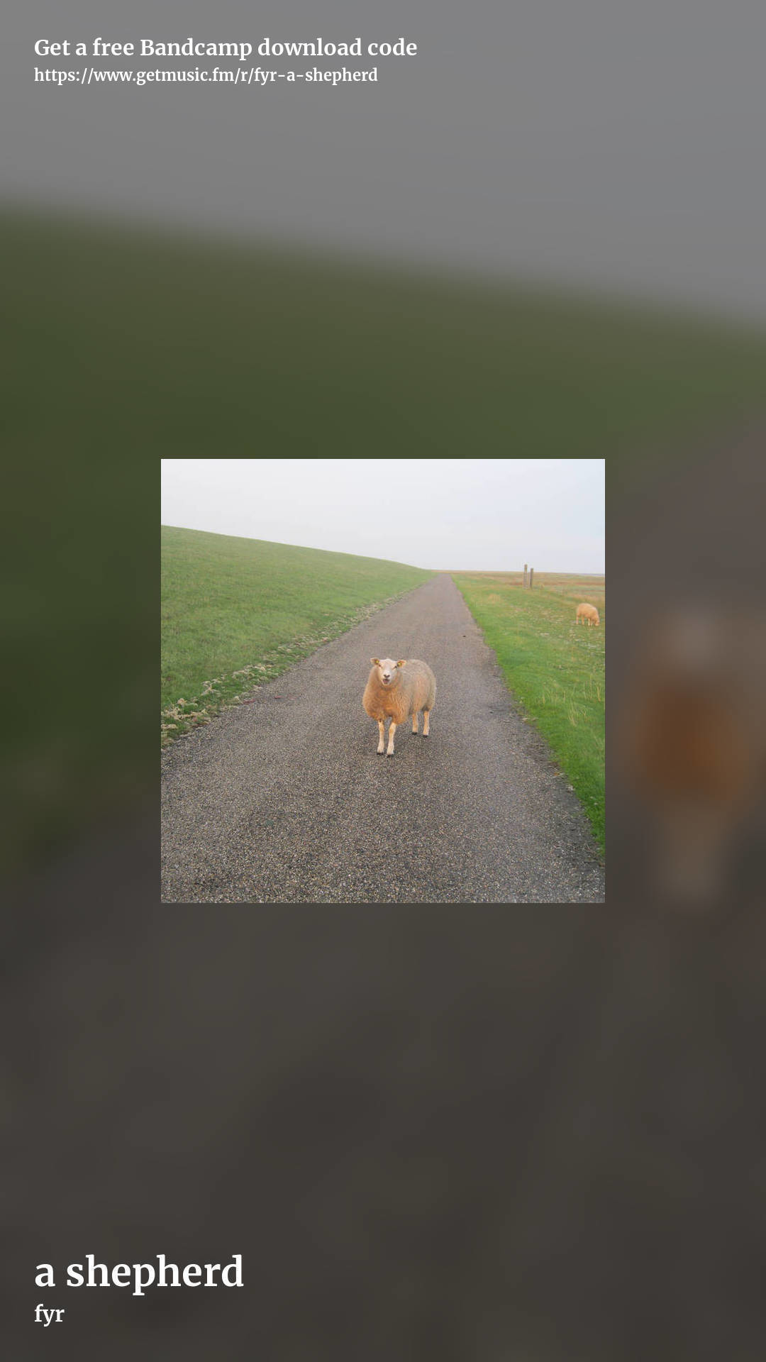 a shepherd by fyr, story promo share image