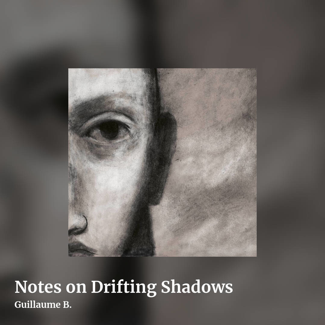 Notes on Drifting Shadows by Guillaume B., square clean share image
