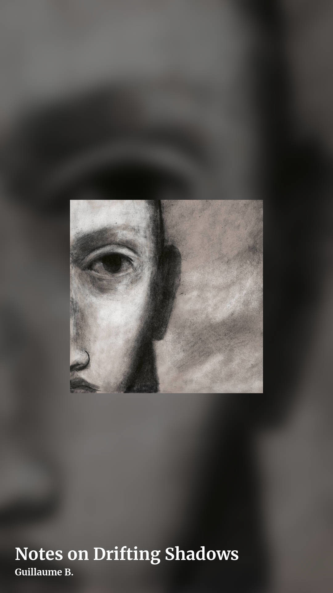 Notes on Drifting Shadows by Guillaume B., story clean share image