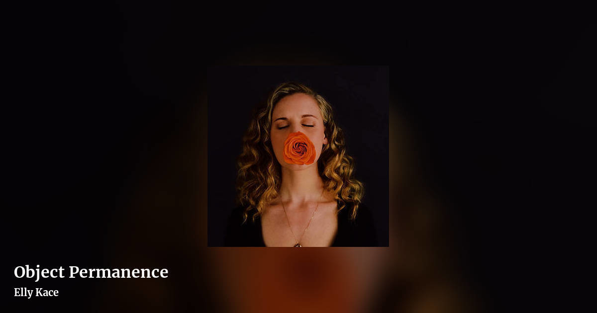 Object Permanence by Elly Kace, landscape clean share image
