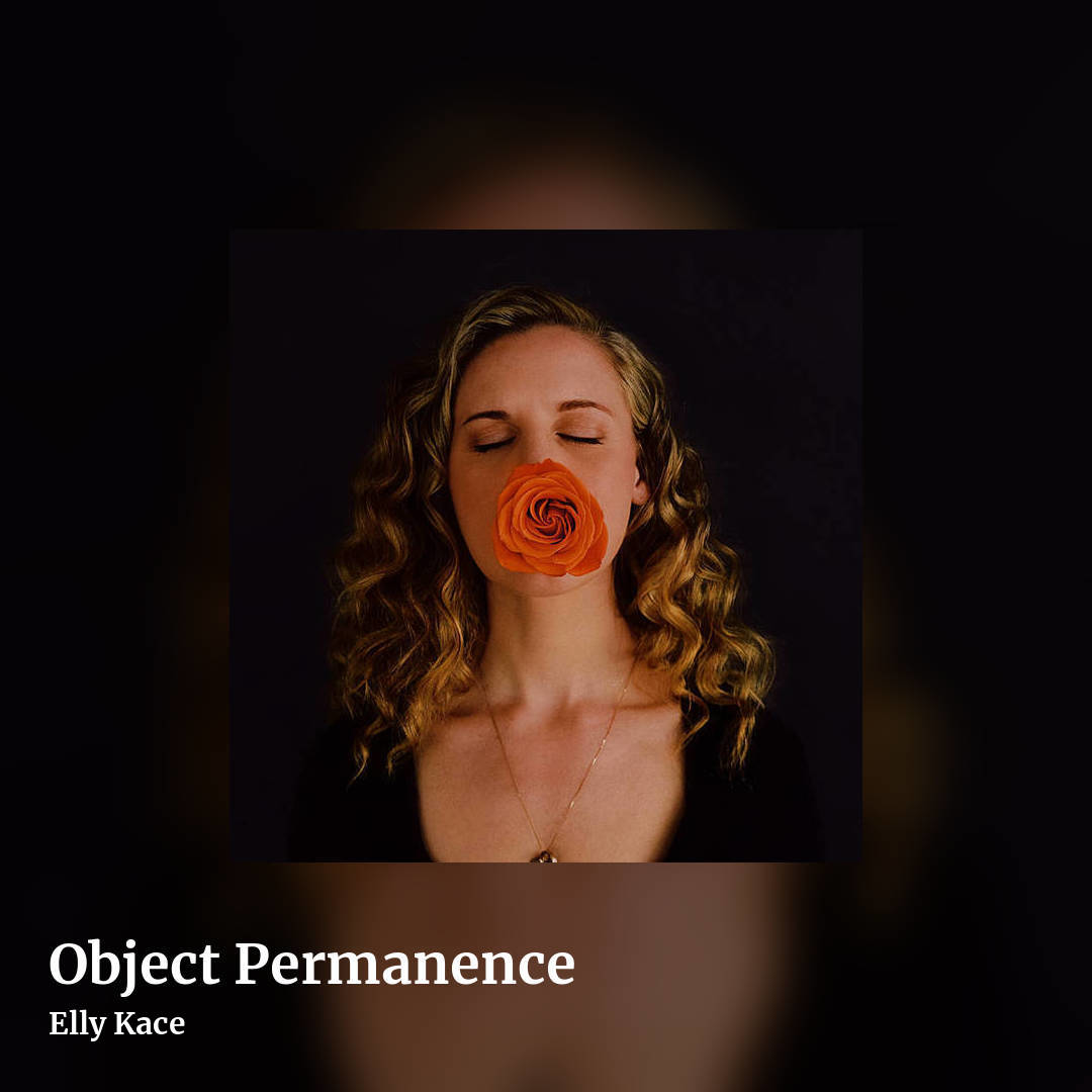 Object Permanence by Elly Kace, square clean share image
