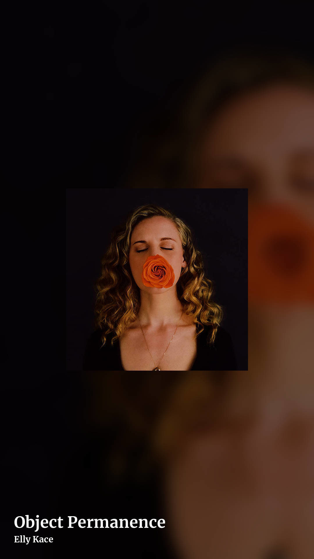 Object Permanence by Elly Kace, story clean share image