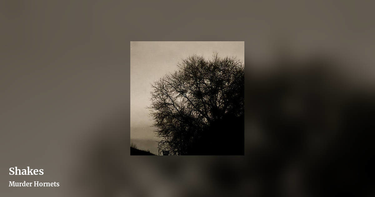 Shakes by Murder Hornets, landscape clean share image