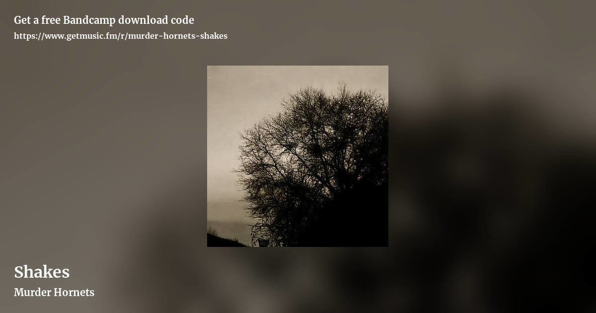 Shakes by Murder Hornets, landscape promo share image