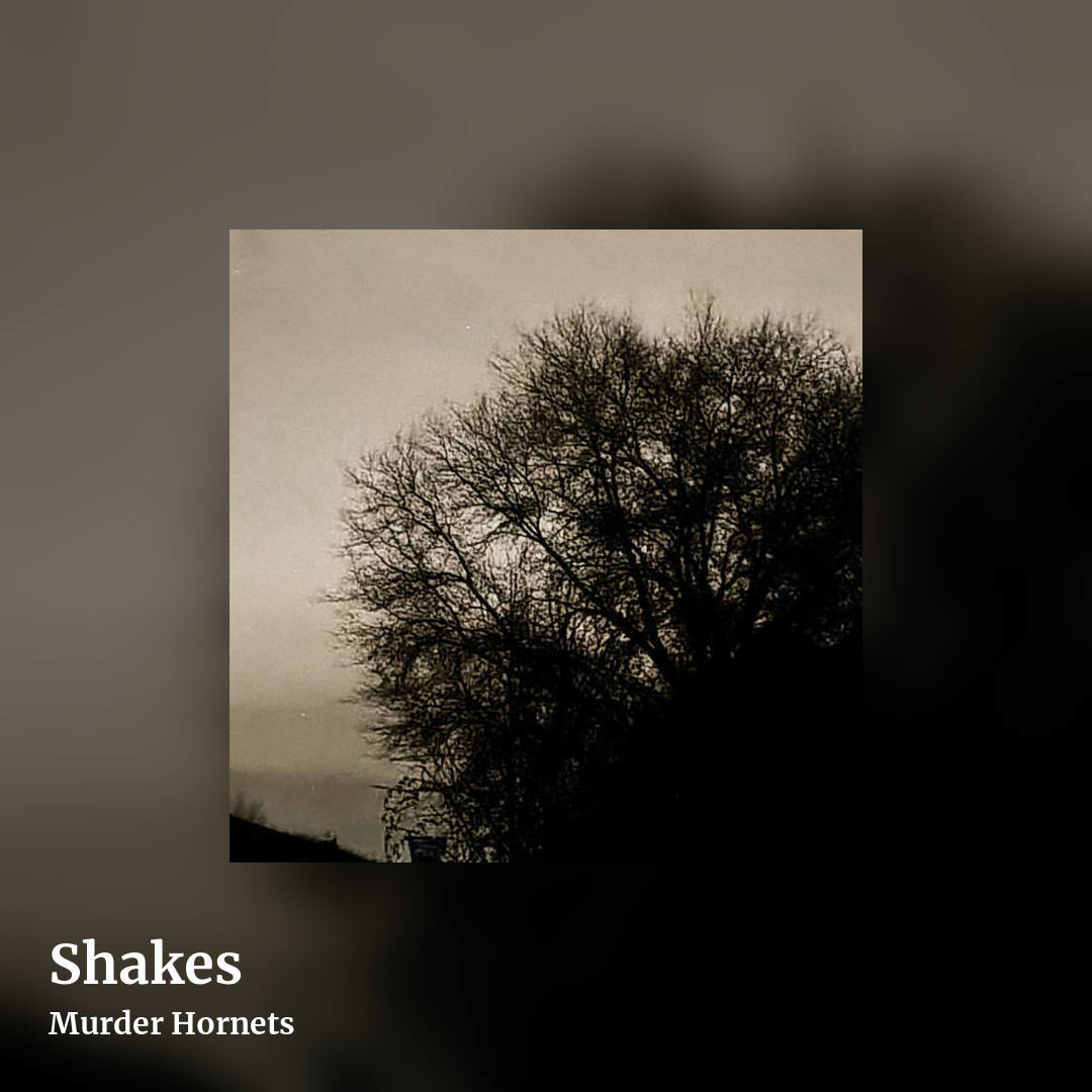 Shakes by Murder Hornets, square clean share image