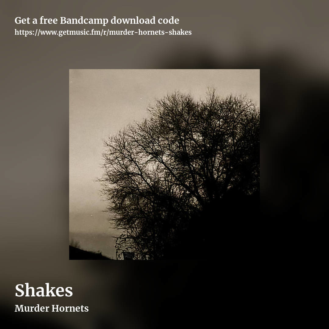 Shakes by Murder Hornets, square promo share image