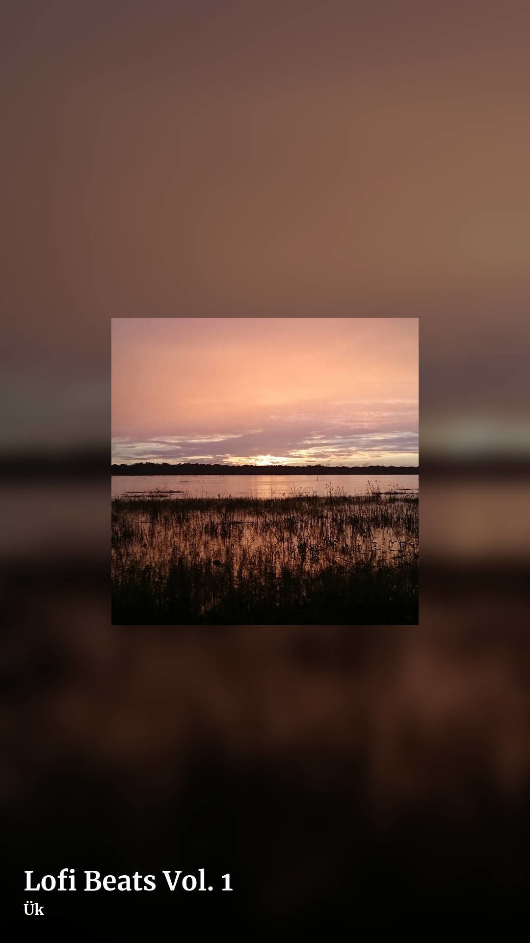 Lofi Beats Vol. 1 by Ük, story clean share image