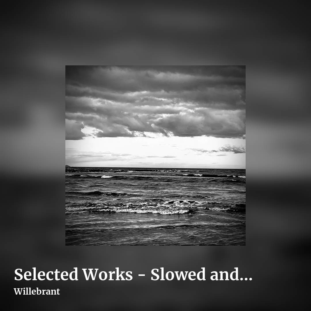 Selected Works - Slowed and Reverb, Volume 2 by Willebrant, square clean share image