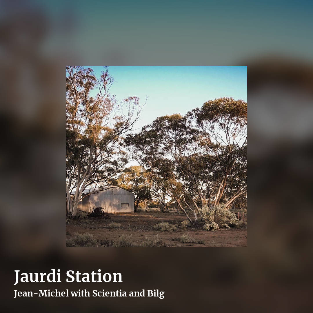 Jaurdi Station by Jean-Michel with Scientia and Bilg, square clean share image