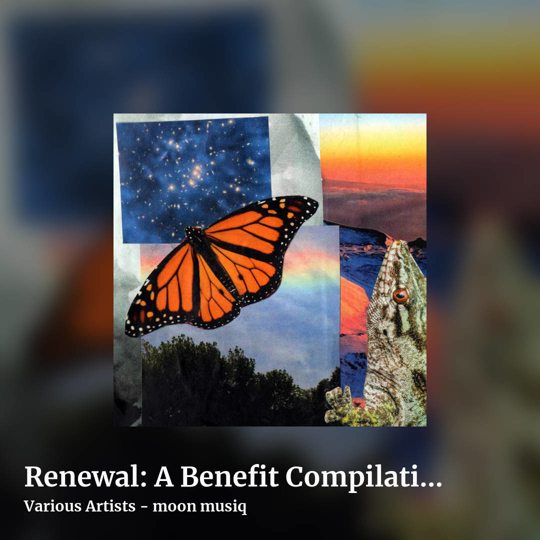 Renewal: A Benefit Compilation for Travis D. Johnson by Various Artists - moon musiq, square clean share image