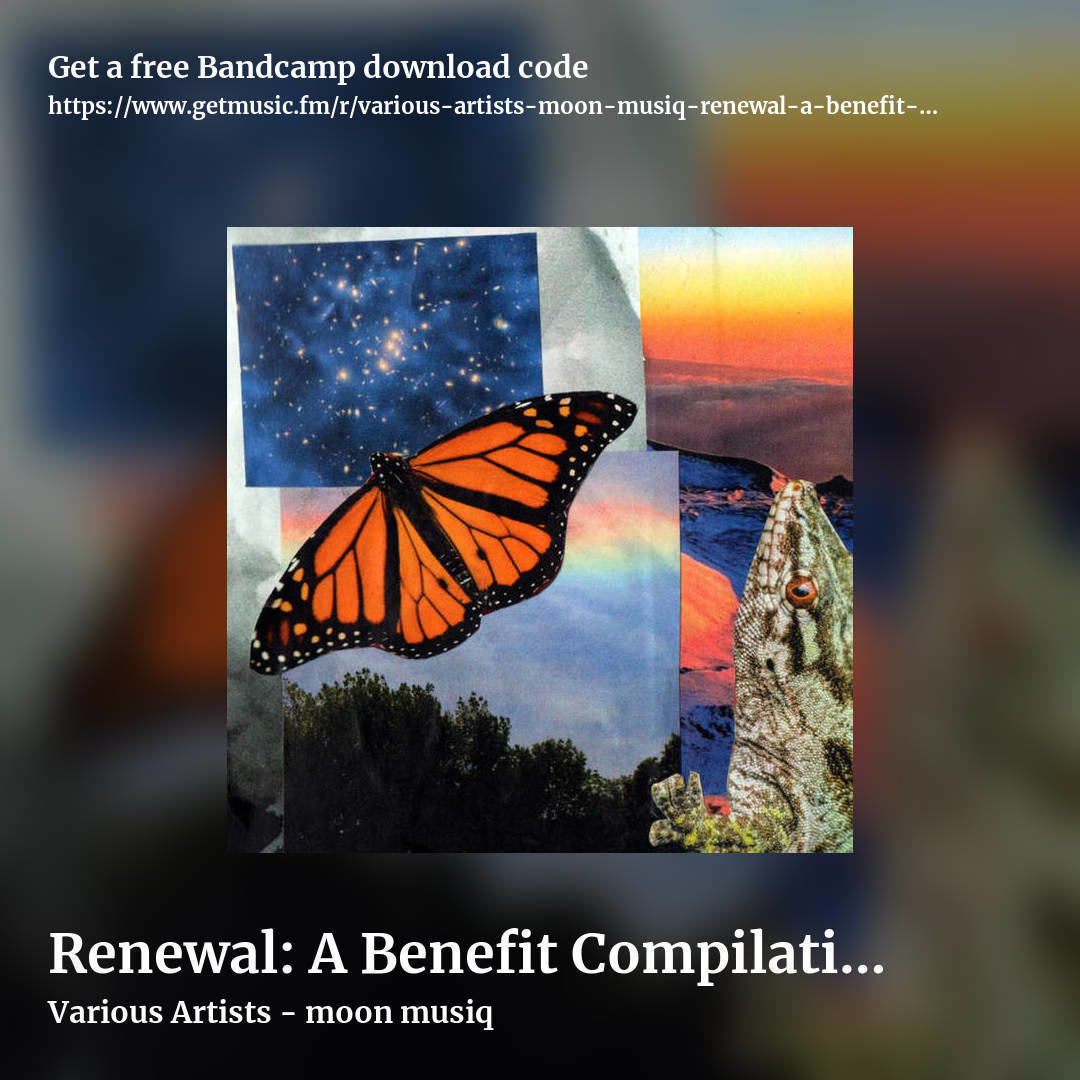 Renewal: A Benefit Compilation for Travis D. Johnson by Various Artists - moon musiq, square promo share image