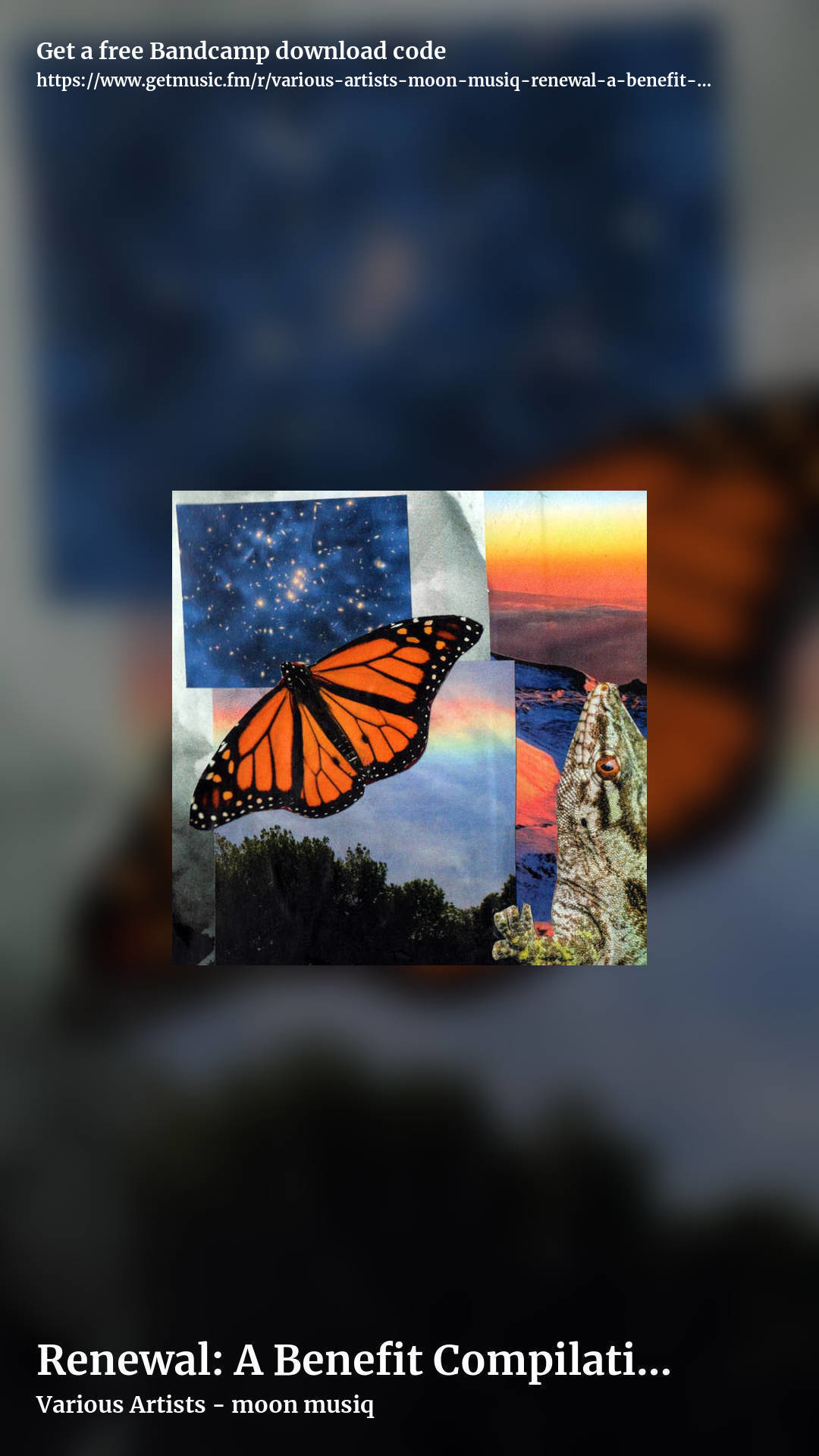 Renewal: A Benefit Compilation for Travis D. Johnson by Various Artists - moon musiq, story promo share image