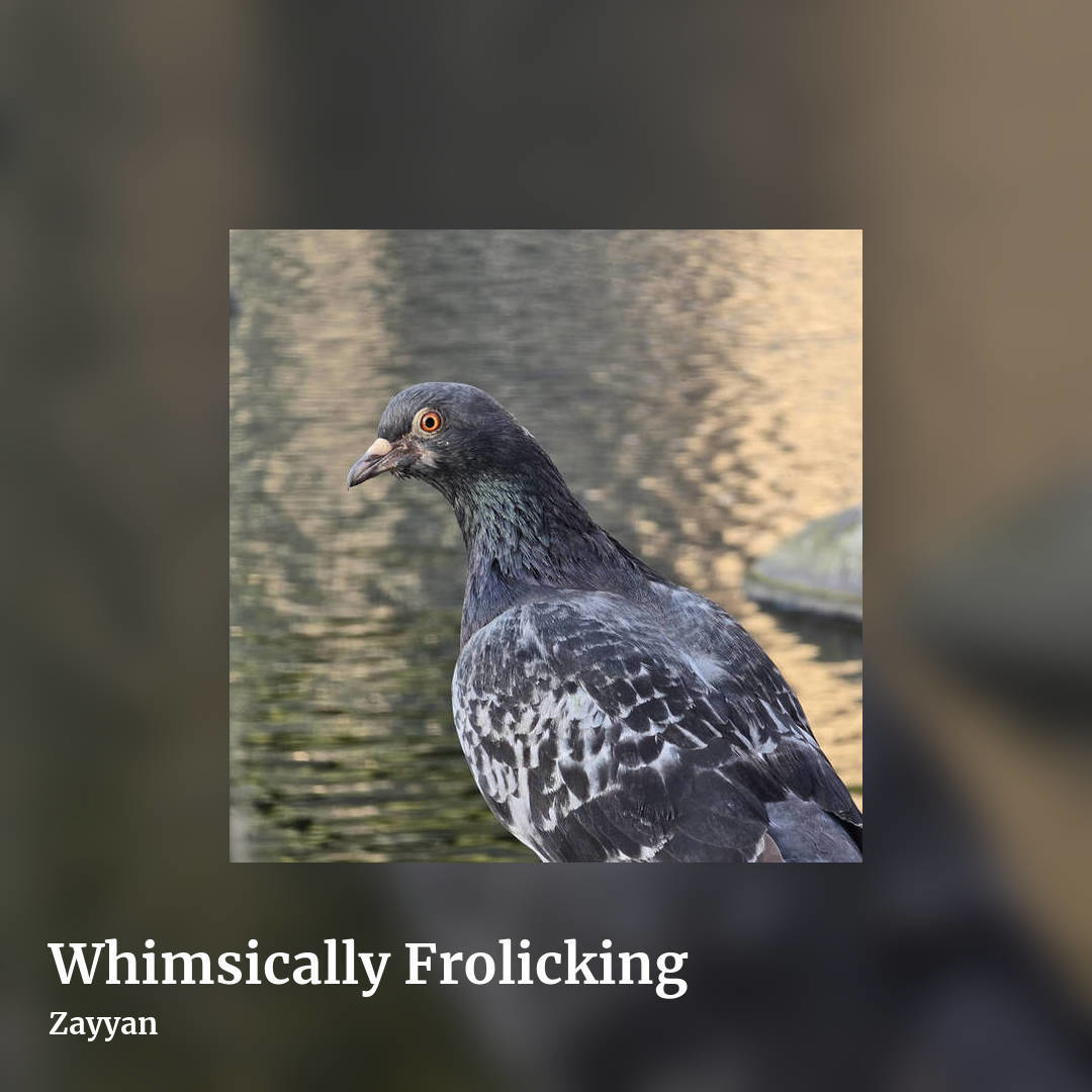 Whimsically Frolicking by Zayyan, square clean share image
