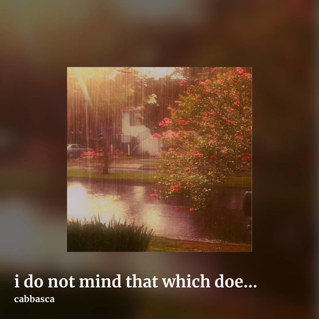 i do not mind that which does not concern me and i will stay as THAT forever by cabbasca, square clean share image