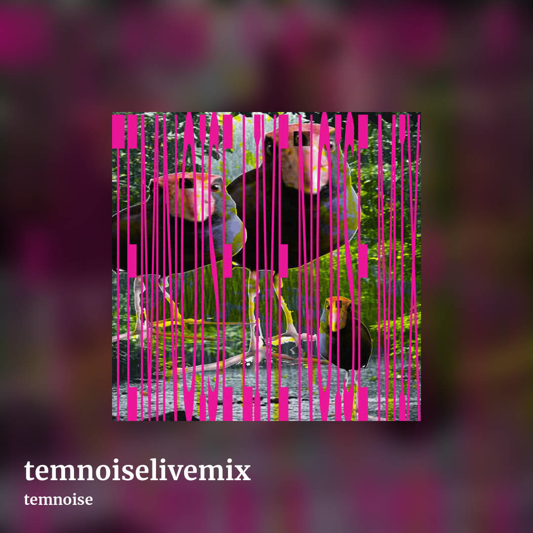 temnoiselivemix by temnoise, square clean share image