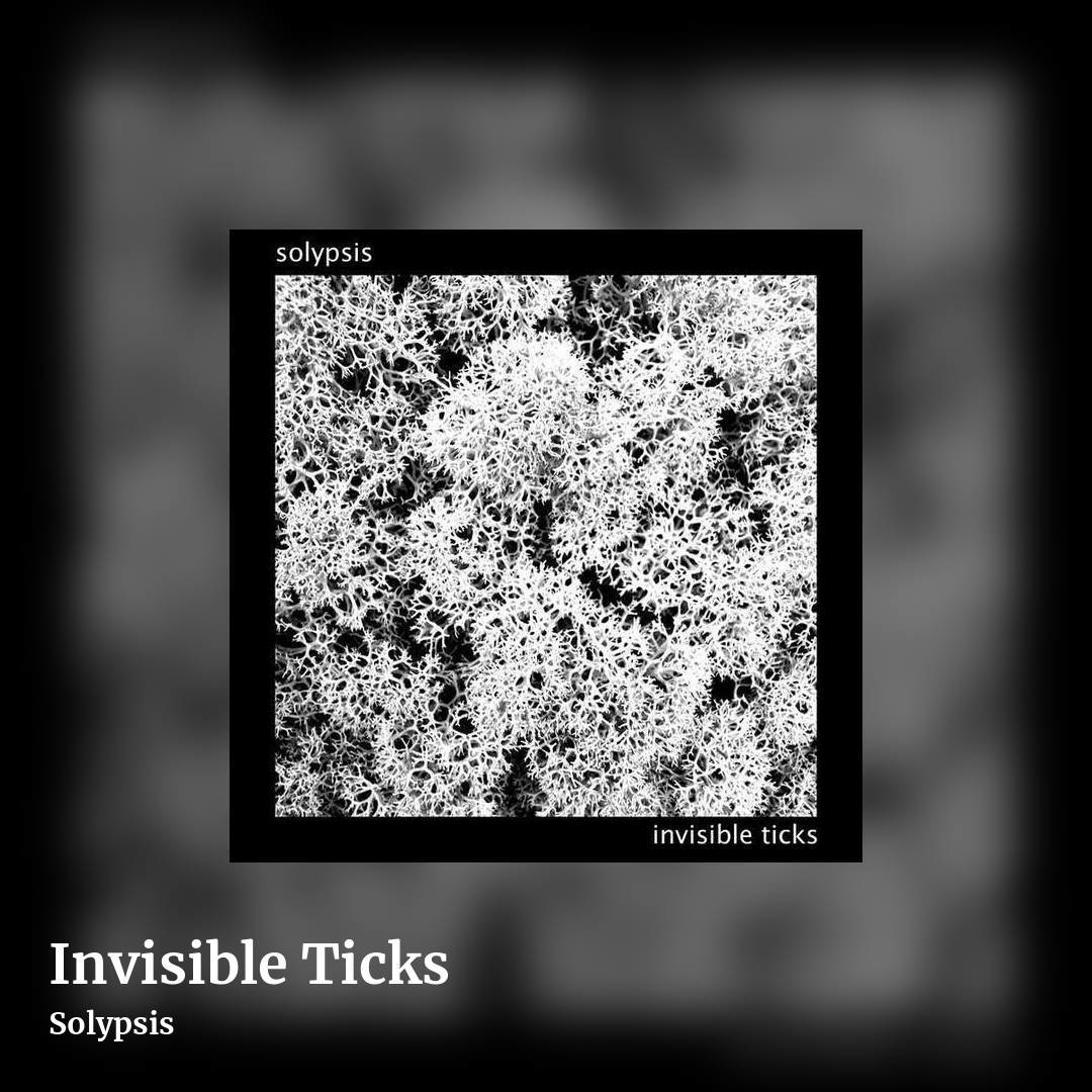 Invisible Ticks by Solypsis, square clean share image