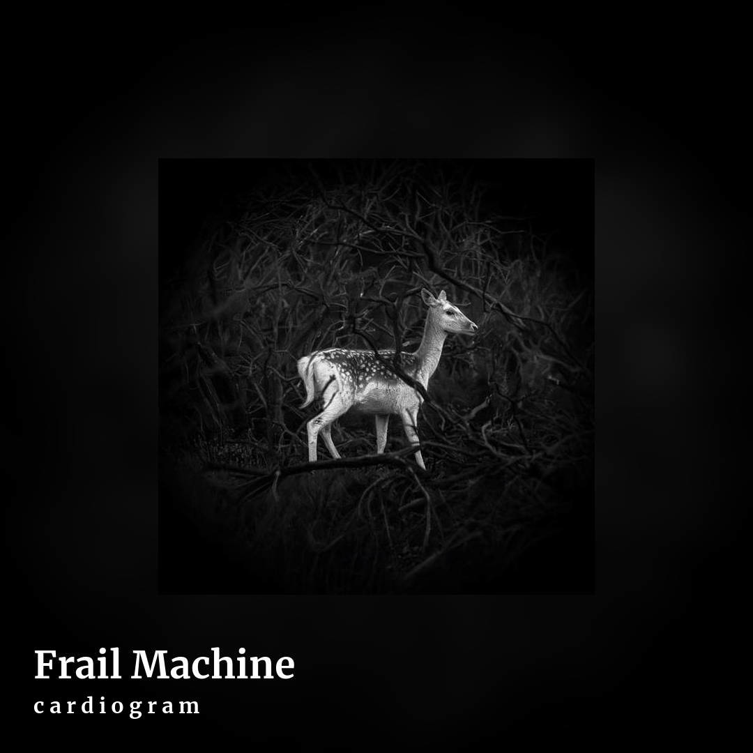 Frail Machine by c a r d i o g r a m, square clean share image