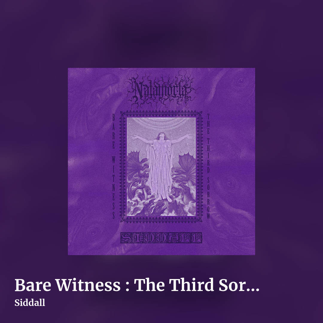 Bare Witness : The Third Sorrow by Siddall, square clean share image