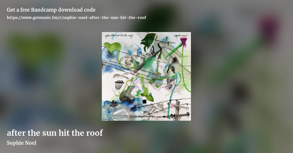 after the sun hit the roof by Sophie Noel, landscape promo share image