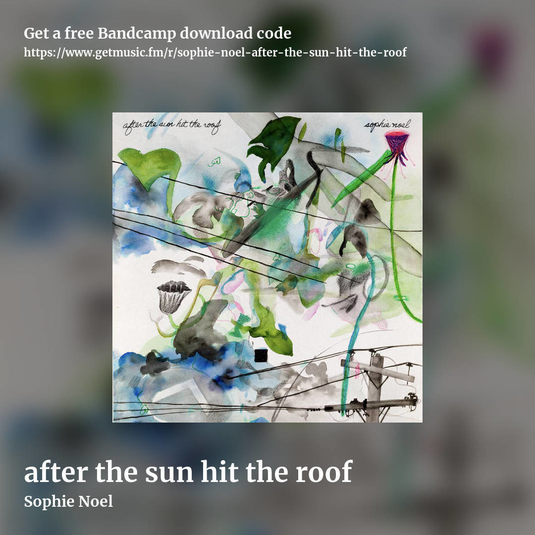 after the sun hit the roof by Sophie Noel, square promo share image