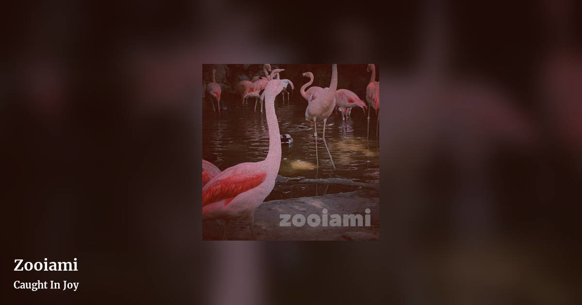 Zooiami by Caught In Joy, landscape clean share image