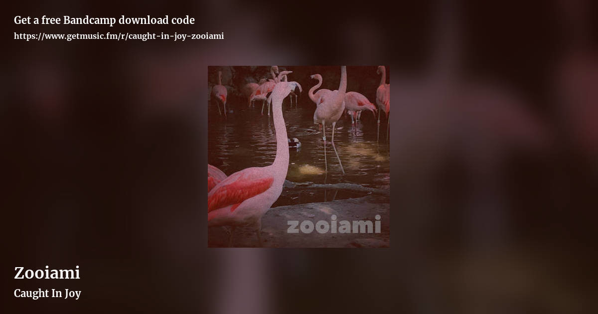 Zooiami by Caught In Joy, landscape promo share image