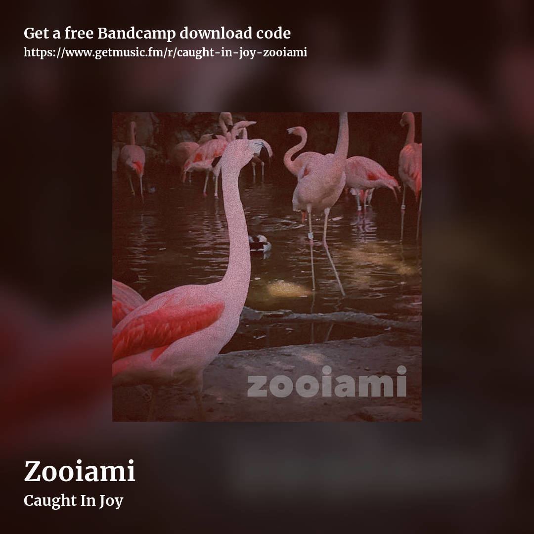 Zooiami by Caught In Joy, square promo share image