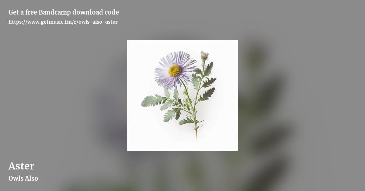 Aster by Owls Also, landscape promo share image