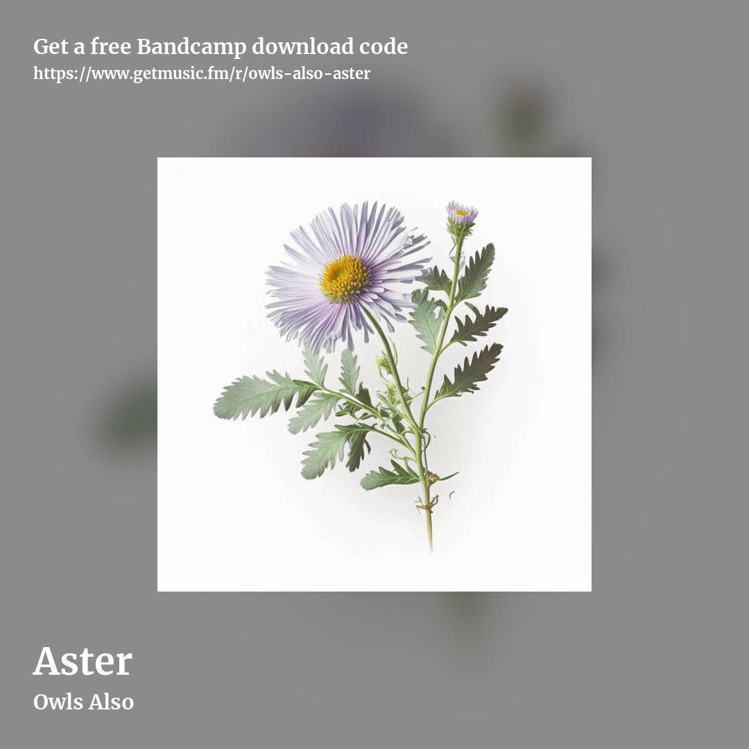 Aster by Owls Also, square promo share image