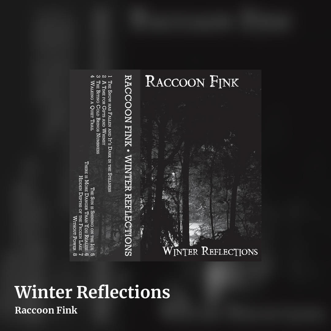 Winter Reflections by Raccoon Fink, square clean share image