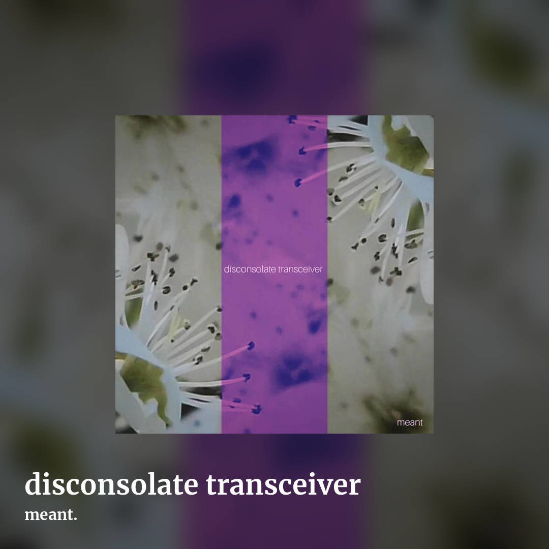 disconsolate transceiver by meant., square clean share image