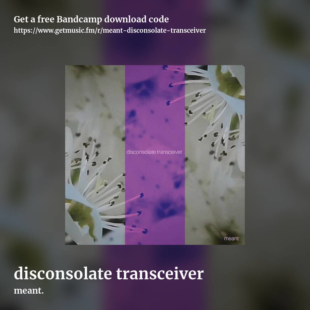 disconsolate transceiver by meant., square promo share image