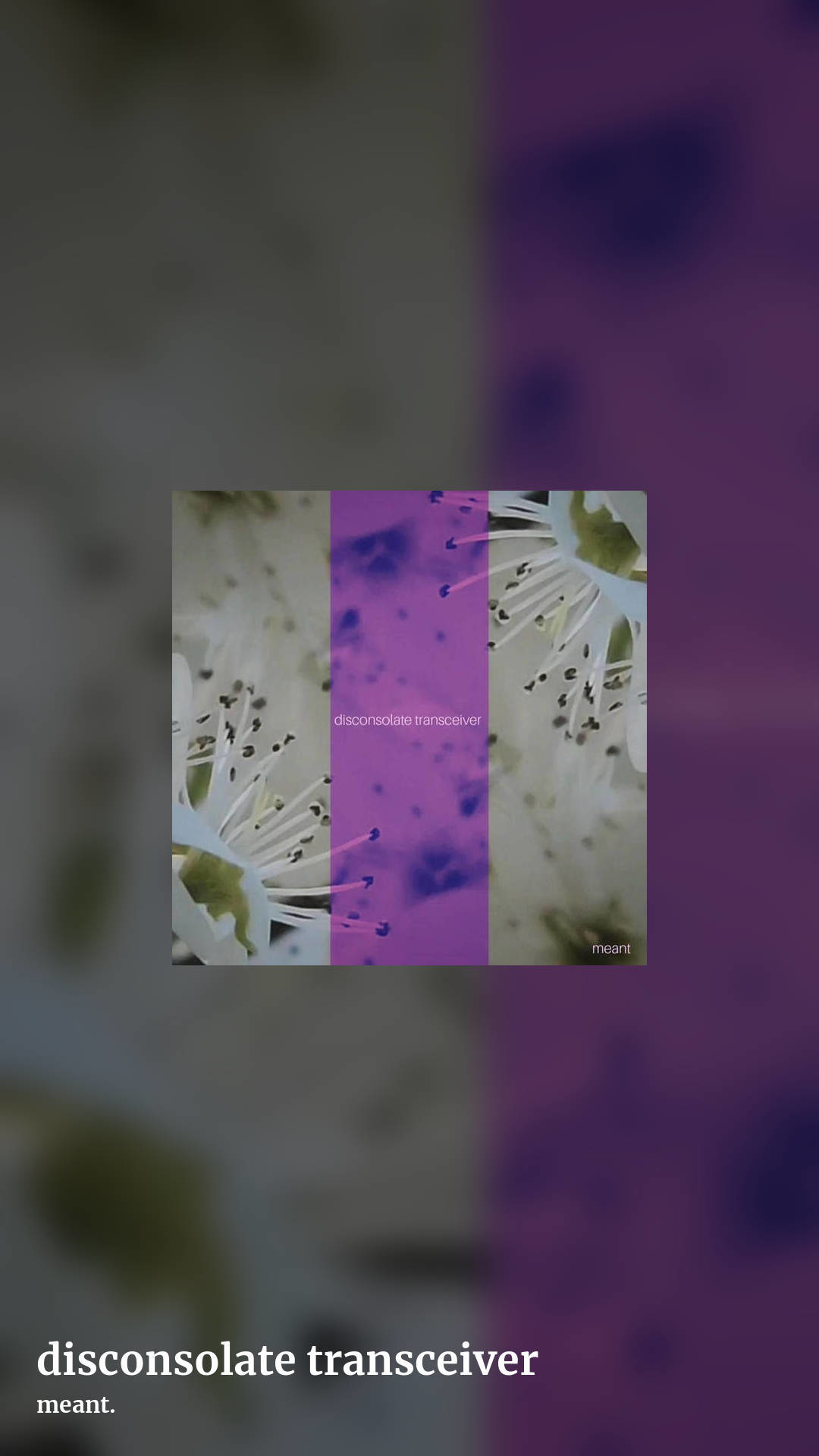 disconsolate transceiver by meant., story clean share image