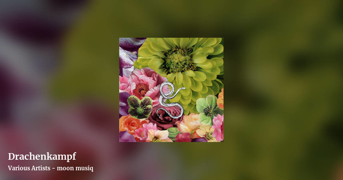 Drachenkampf by Various Artists - moon musiq, landscape clean share image