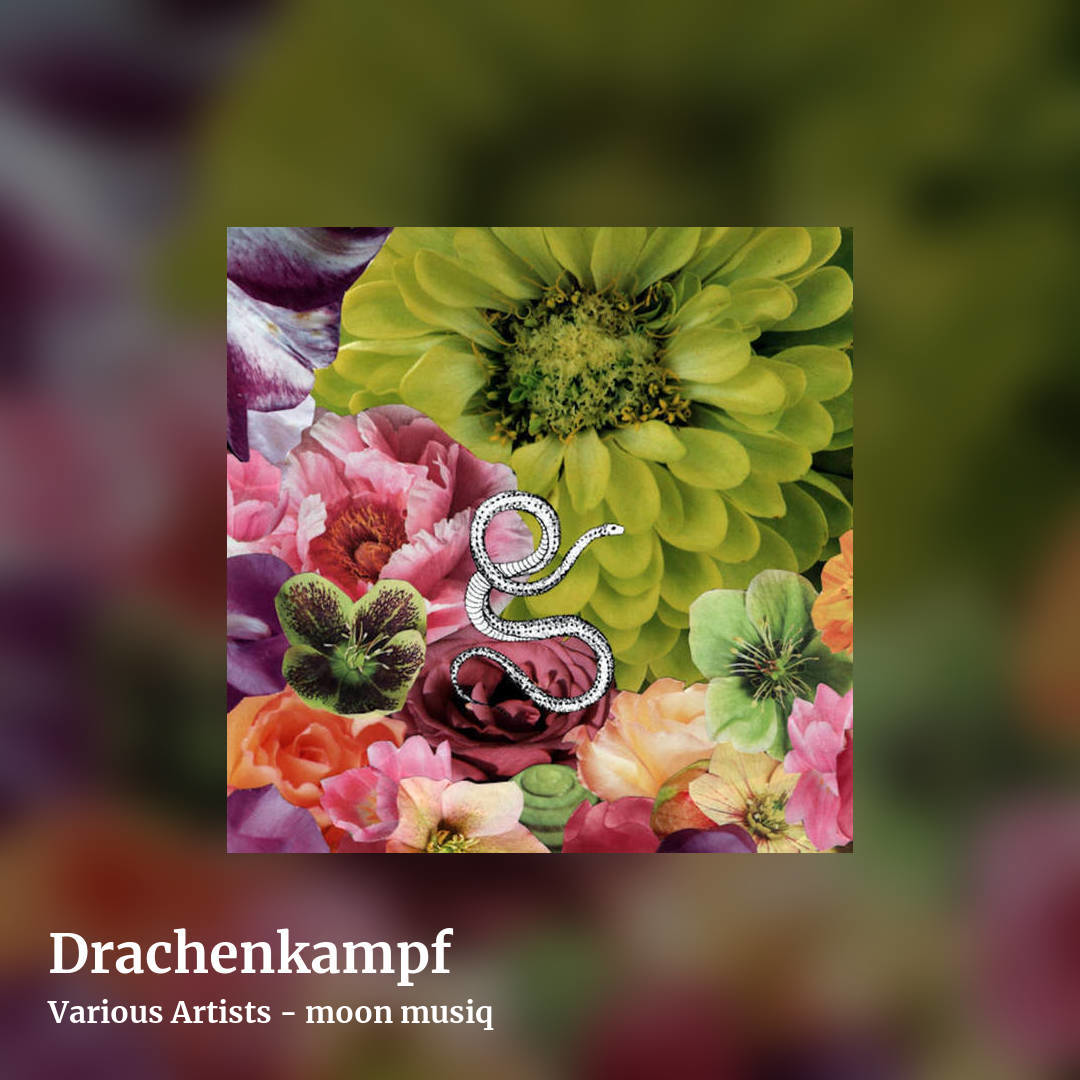 Drachenkampf by Various Artists - moon musiq, square clean share image