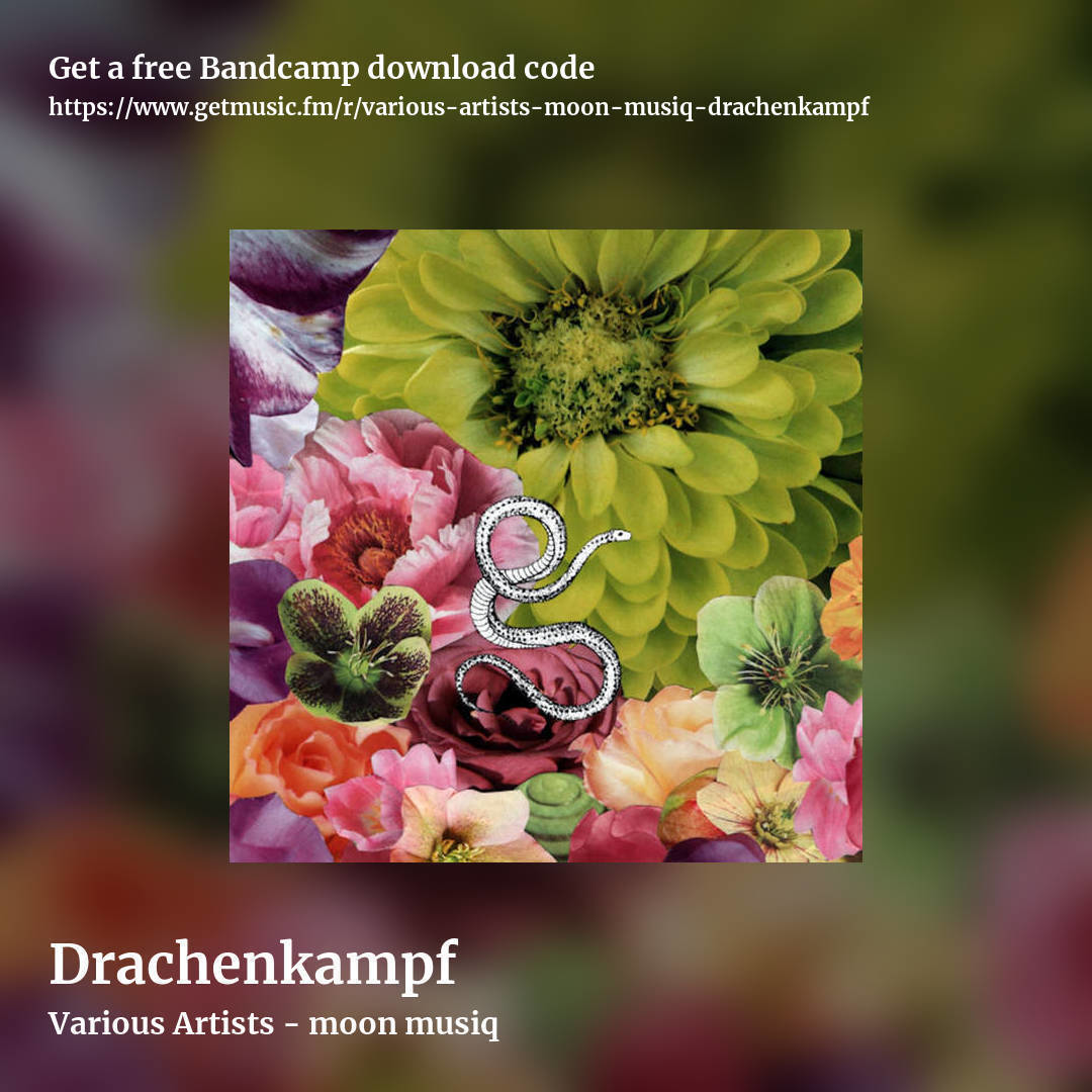 Drachenkampf by Various Artists - moon musiq, square promo share image