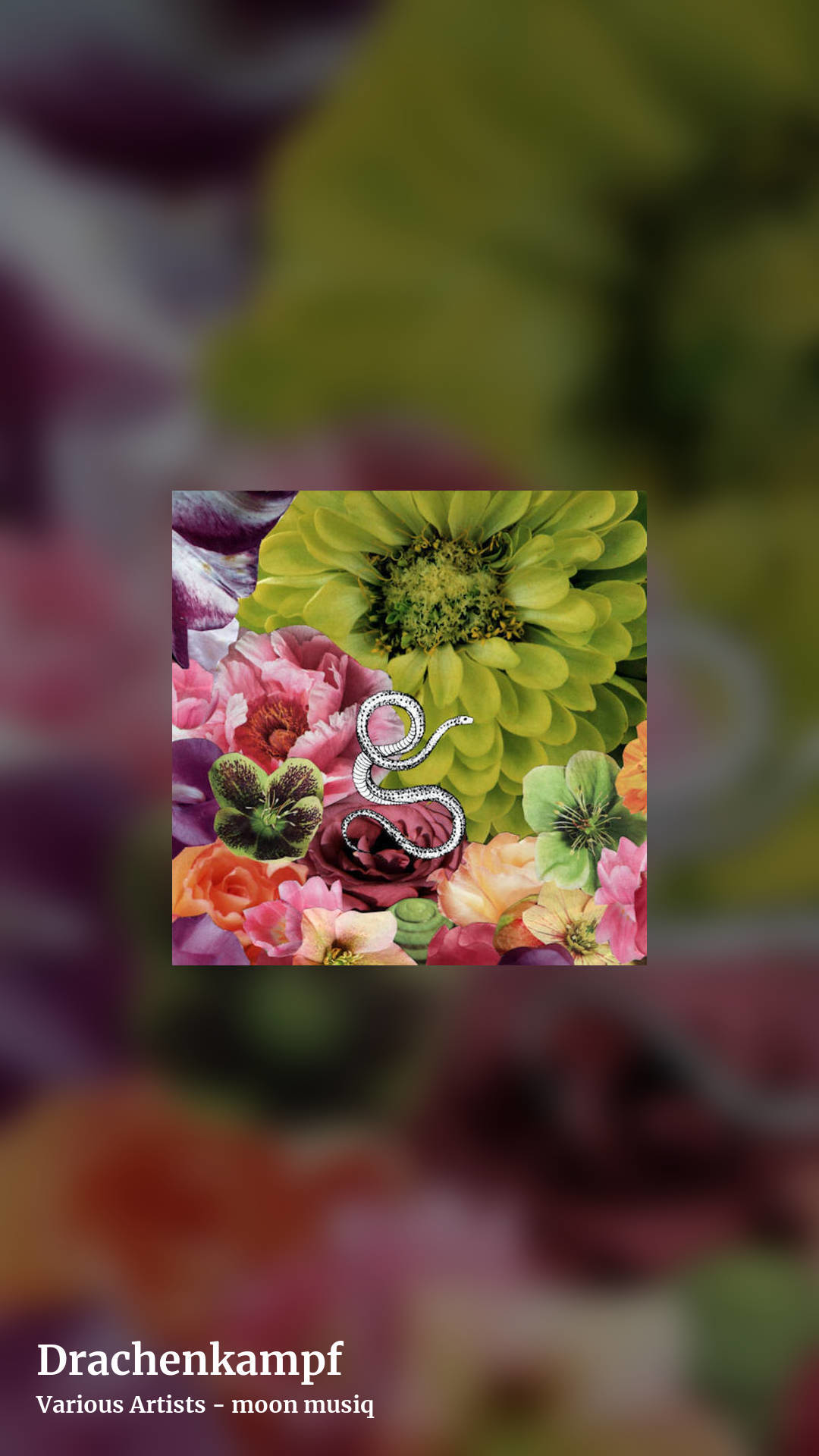Drachenkampf by Various Artists - moon musiq, story clean share image