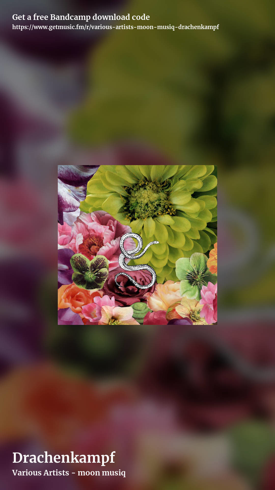 Drachenkampf by Various Artists - moon musiq, story promo share image